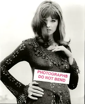 8x10 Photo Lori Saunders Pretty  Petticoat Junction  TV Star Publicity Photo #8 • $13.45