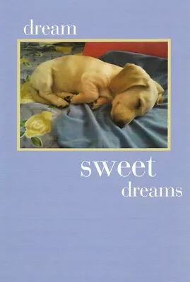 Sweet Dreams Birthday Card Featuring A Little Dachshund • $3.99