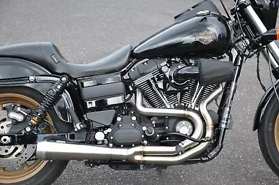 Bassani Greg Lutzka Edition Exhaust 2 Into 1 Pipe Harley Dyna Stainless Steel SS • $1099.95