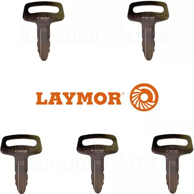 5 Lay-Mor Sweepmaster Ignition Keys 468090 Wacker Neuson Light Tower And Kubota • $12