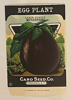 1920’s - 30’s Vintage Egg Plant Seed Packet - Litho Card Seed Co - Fredonia  NY • $5