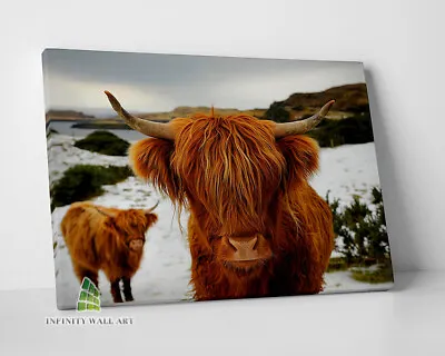 £10.18 • Buy HIGHLAND COW Brown Canvas Art Print Wall Art Animal Decor Photo Picture -D124
