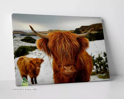 HIGHLAND COW Brown Canvas Art Print Wall Art Animal Decor Photo Picture -D124 • £9.41