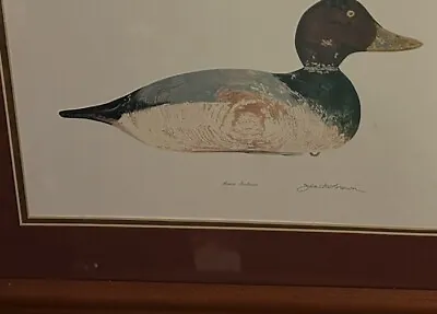 Janet W Brown ~ Mason Redhead Duck ~ Framed Art ~ Signed! Vintage! • $54.99