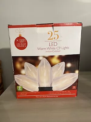 25 Count Clear C9 LED Holiday Lights -TDC USA INC  • $25