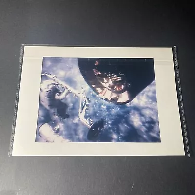 Vtg Space Shuttle Endeavour First Flight STS-49 Memorabilia 8x6 Astronaut Photo • $22.50