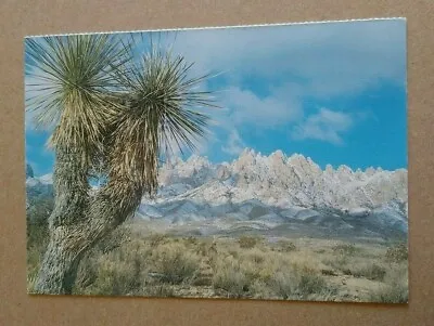Printed Postcard - Las Cruces New Mexico Organ Mountains Landscape • $2.70