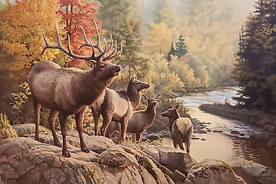 NEW River Walk Signed Limited Edition Print By Greg Alexander - Elk • $74.95