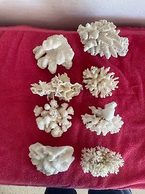 Dry Coral - Natural Coral For Aquarium • $15