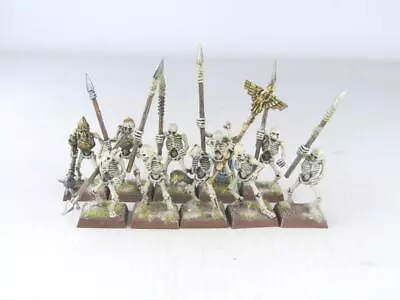 (2364) Deathrattle Skeletons Regiment Soulblight Gravelords Old World Sigmar • $5.22