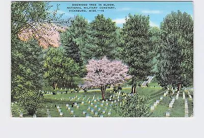 PPC Postcard MS Mississippi Vicksburg National Military Cemetery Dogwood Tree In • $4