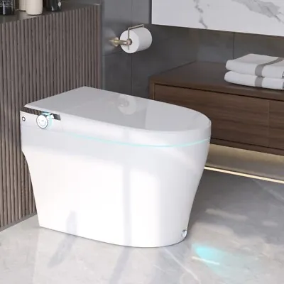 DeerValley Smart Bidet Toilet ADA Height Heated Seat Auto Flush Warm Wash Dryer • $575