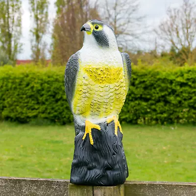 Decoy Hawk Garden Eagle Bird Pest Deterrant Cat Repeller Falcon Pond Scarer • £9.95