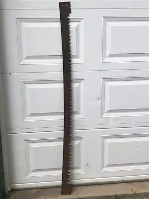 60  Antique 2 Man Narrow Crosscut Saw Blade Logging Lumberjack No Handles • $49.99