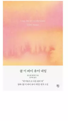 $35.70 • Buy Call Me By Your Name 그해 여름 손님 안드레에치Korean Text Book Fiction Novel Andre Aciman 