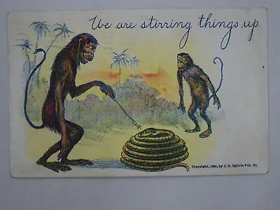 1907 UDB Comic Postcard We Are Stirring Things Up Madison C Warder Ottumwa IA US • $5.99