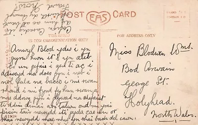 Family History - Genealogy - Postcard - Blodwen ? - Holyhead George Street • £2.99