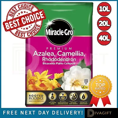 Miracle Gro Azalea Camellia Rhododendron Ericaceous Premium Compost 10l 20l 40l • £14.99