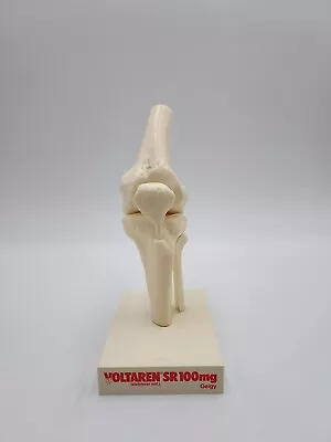 Vintage Voltaren Knee Joint Anatomical Model • $39.95