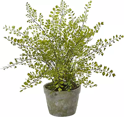 4251 Maiden Hair Artificial Plant In Planter • $70.17