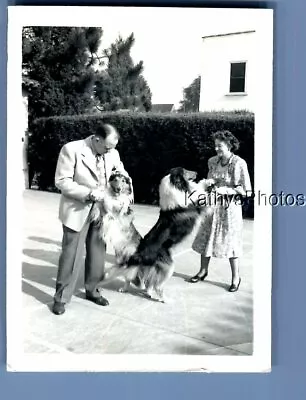 Found B&w Photo N_5874 Man And Woman Posed Holding Dogs On Hind Legs • $6.98