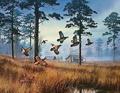 NEW Bob White Quail Print By David Maass - Hunting - Cabin - Lodge - Sportsman • $16.96