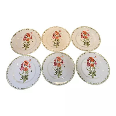 6 Queen's Fine China India  Botanical 10.5  Round Dinner Plate Setting Floral • $44.97