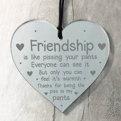 Funny Friendship Plaque Best Friend Gift Engraved Heart Thank You Birthday Xmas • £4.99