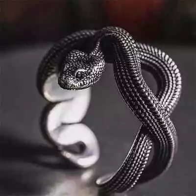 Vintage Gothic Metal Snake Rings For Men Women Exaggerated Antique Siver Color • $6.99