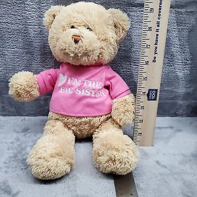 I'm The Big Sister T-Shirt Teddy Bear Stuffed Animal Plush Pink 12” • $7.90