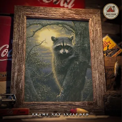 Raccoon Hunting Art Print Trapping Coon Hound Art Fishing Cabin Wall Decor Gift • $9.95