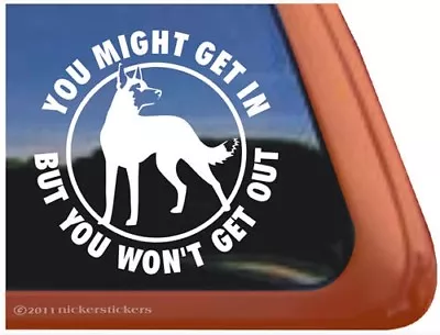 You Might Get In But You Won't Get Out | Quality Belgian Malinois Dog Decal • $8.99