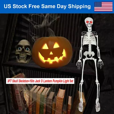 3FT Halloween Skeleton Scary Sound LED Eye+10  Light Up Pumpkin Jack O Lanterns • $69.86