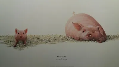£19.95 • Buy Trotters By Warwick Higgs Pig Piglet