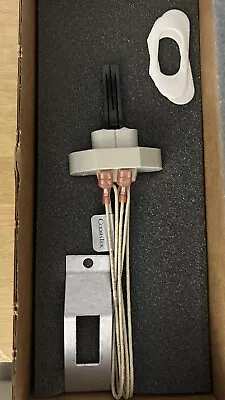 Zodiac R0317200 Lite2 LD /Teledyne Laars R0317200 Pool Heater Parts Ignitor • $90