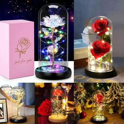 $29.99 • Buy Rose In Glass Dome Eternal Forever Flower LED Night Light Valentine Wedding Gift