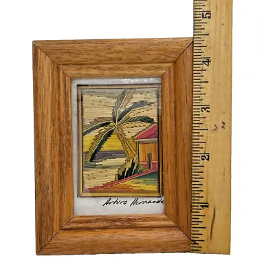Vintage Mexican Folk Art Arturo Hernandez SIGNED Miniature Straw Art Framed-A6 • $39.99