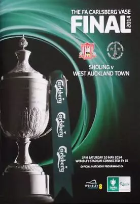 * Fa Vase Final Official Programmes - Choose From List * • £4.99