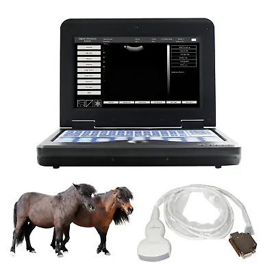 Portable Ultrasound Scanner Veterinary Laptop Machine With 3.5Mhz Convex Probe • £1112