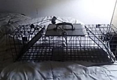 $26.25 • Buy Vintage HavaHart Medium Animal Humane Trap, 25x7x7