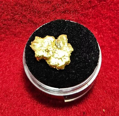 California Natural Gold Nugget 5.4 Grams In A Gem Jar W/lid • $437