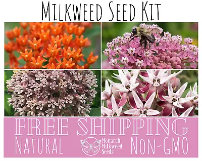 MILKWEED SEED KIT | Butterfly Common Showy Swamp | Native Monarch Wildflower • $22.65