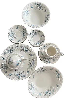 Myott England Forget Me Not Fine Staffordshire Ware Set 30 Pieces • $95