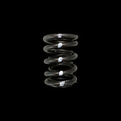 Brian Crower BC1010 Dual Valve Springs For Honda/Acura B18C/B16A/B17A • $265.85