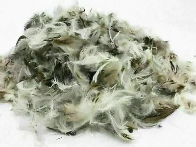 Upholstery Soft Duck Feather Toy Stuffing Pillow Cushion Sofa Filling 2 Kilo • £12.99