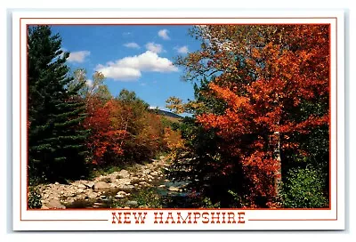 Postcard Bright Red Sugar Maple Trees In White Mountains NH M3 • $3.29