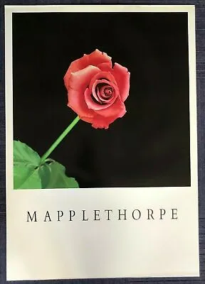 Rose By Robert Mapplethorpe (70cm X 97cm) • $151.58