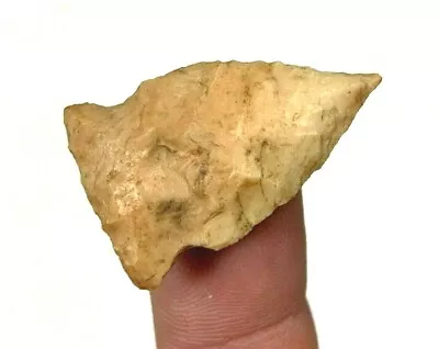 Colorful Samantha Point Montana Authentic Arrowhead Indian Artifact B31 • $59.16