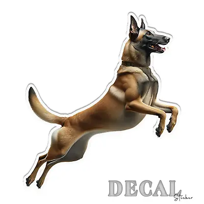 Belgian Malinois Air Jumping Vinyl Decal Sticker Indoor Outdoor 4 Sizes • $5