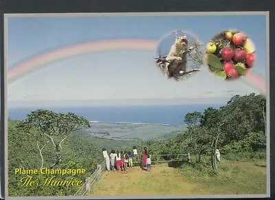 Mauritius Postcard - Plaine Champagne  T7793 • £2.39